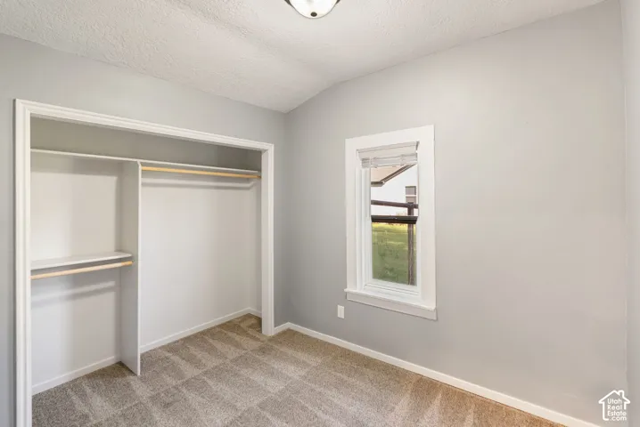Room featuring neutral wall paint, carpeted flooring, a built-in closet with shelving and hanging rods, a white-trimmed window, and a ceiling-mounted light fixture