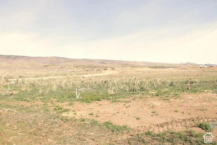 Expansive undeveloped acreage featuring native desert vegetation and mountain backdrop