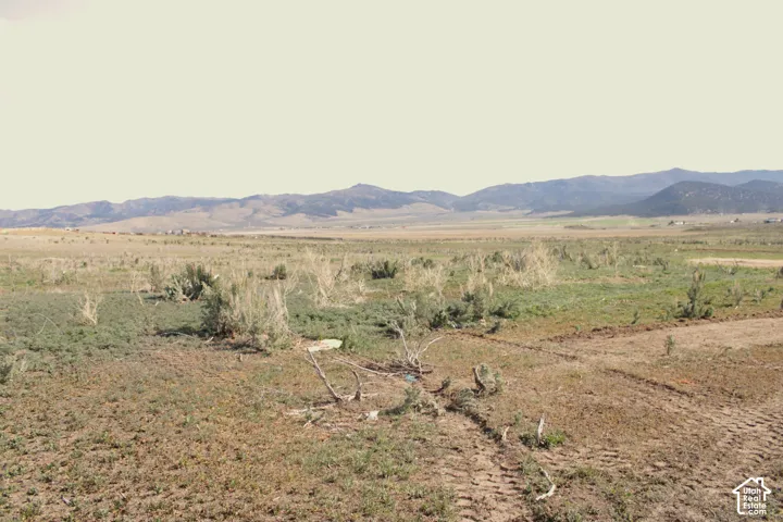 Expansive lot featuring native terrain and mountain scenery