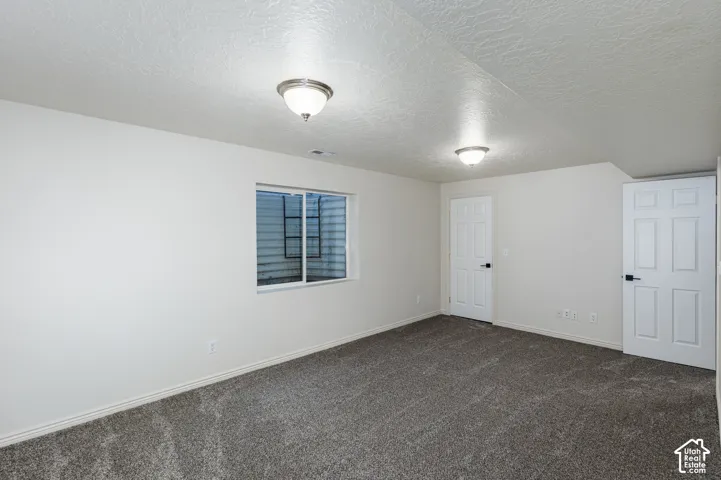 Neutral-toned interior space featuring textured carpeting, two flush-mount ceiling light fixtures, a sliding egress window with a metal ladder well, and two white six-panel interior doors with matte black hardware