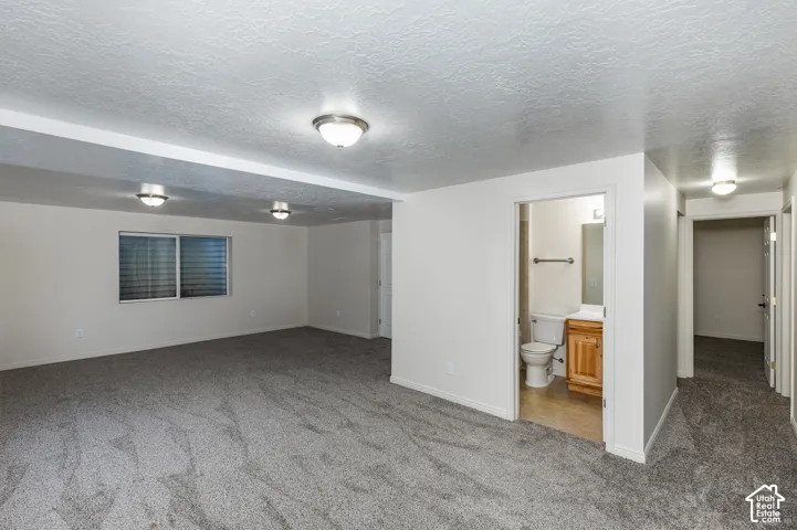 Open floor area featuring wall-to-wall carpeting, multiple flush-mount ceiling light fixtures, and sliding glass window