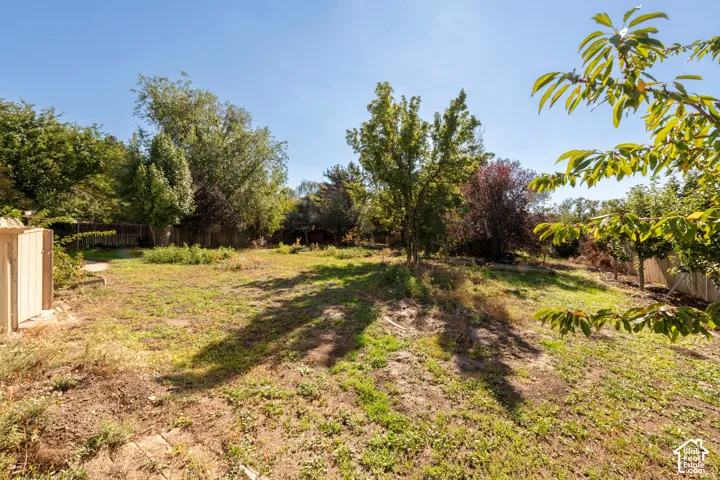 Expansive outdoor space featuring mature trees, peripheral landscaping, and wood-panel perimeter fencing