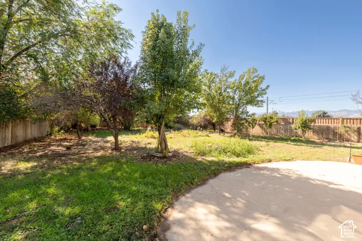 Expansive backyard featuring a circular concrete patio, mature trees, and wooden perimeter fencing