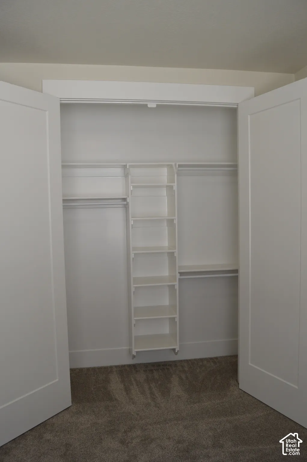Closet featuring white shaker-style double doors, built-in shelving tower, integrated hanging rods, and neutral carpeting