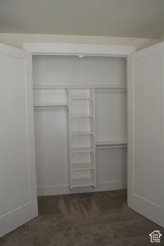 Closet featuring white shaker-style double doors, built-in shelving tower, integrated hanging rods, and neutral carpeting