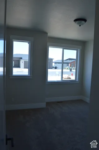 Room featuring neutral-toned carpeting, dual-pane windows with thick trim, and a flush-mount ceiling light fixture