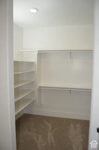 Walk-in closet featuring wall-to-wall carpeting, white shelving units, a built-in tiered storage system, dual hanging rods, and recessed lighting