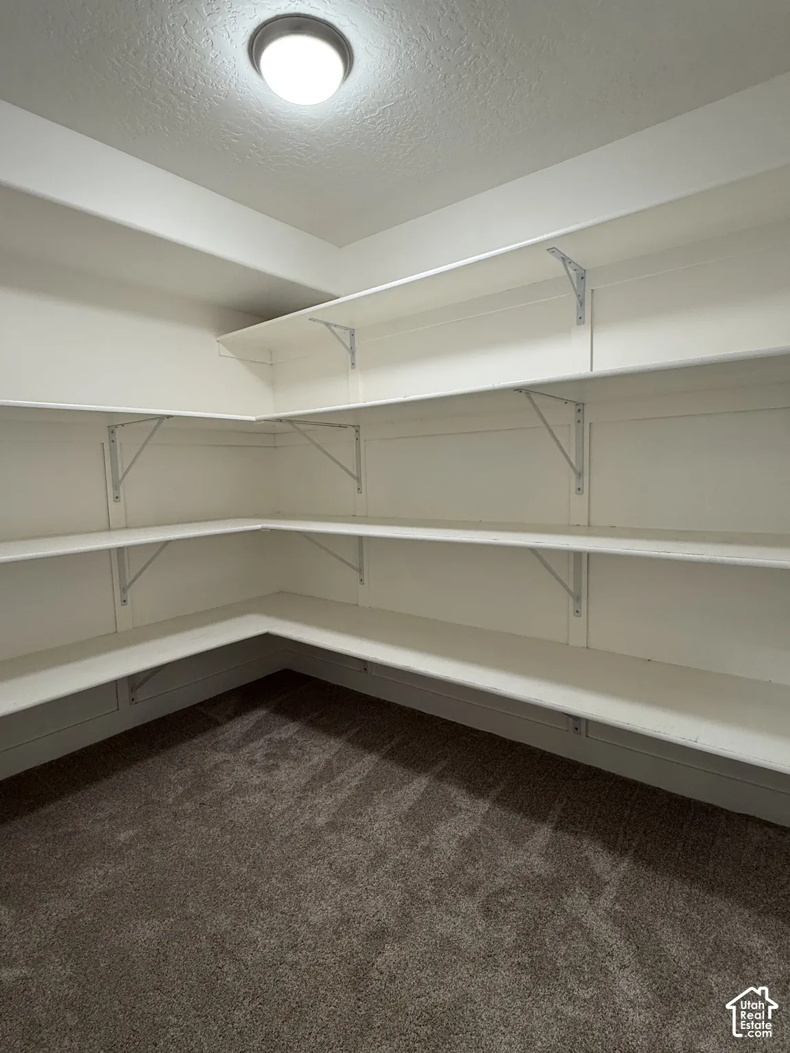Storage area featuring three tiers of built-in shelving with metal support brackets and carpeted flooring