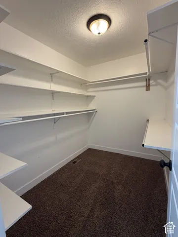 Walk-in closet featuring tiered shelving, integrated hanging rods, wall-to-wall carpeting, and a flush-mount ceiling light fixture