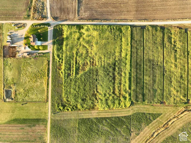 Aerial Survey Map. Illustrating the land boundaries and topography of the property