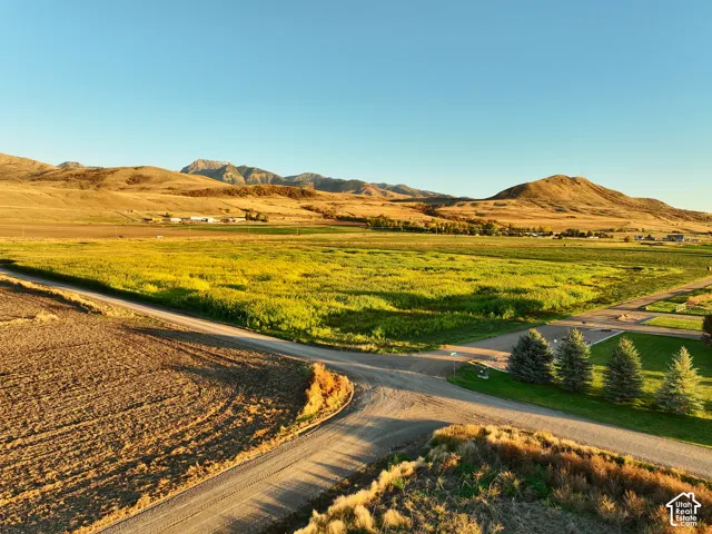 Expansive acreage Looking South East featuring open fields, mature evergreen trees, and mountainous terrain