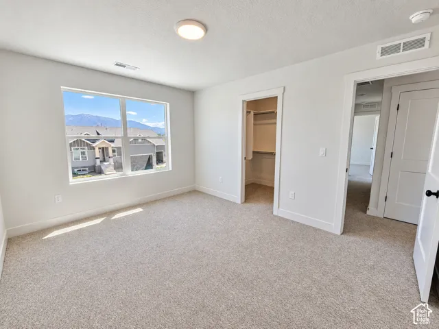 Interior room featuring neutral carpeting, a walk-in closet with built-in shelving, multi-pane window with mountain scenery, and two-panel interior doors