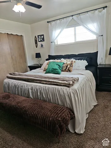 Carpeted flooring, ceiling fan with integrated lighting, window with horizontal blinds, and dual-panel wood-finish closet doors