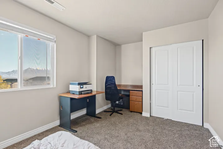 Room featuring neutral-toned carpeting, sliding double-panel closet doors, a built-in recessed alcove, and a window with mountain scenery