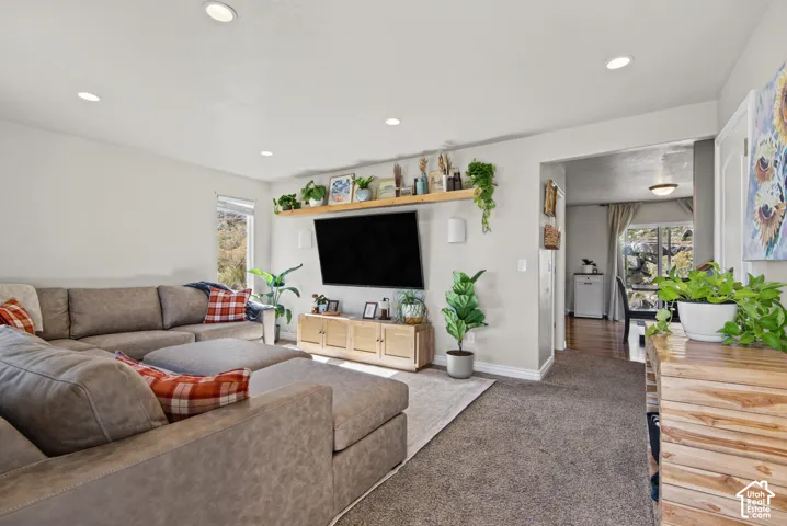 Recessed ceiling lighting, carpeted flooring, and wall-mounted shelving