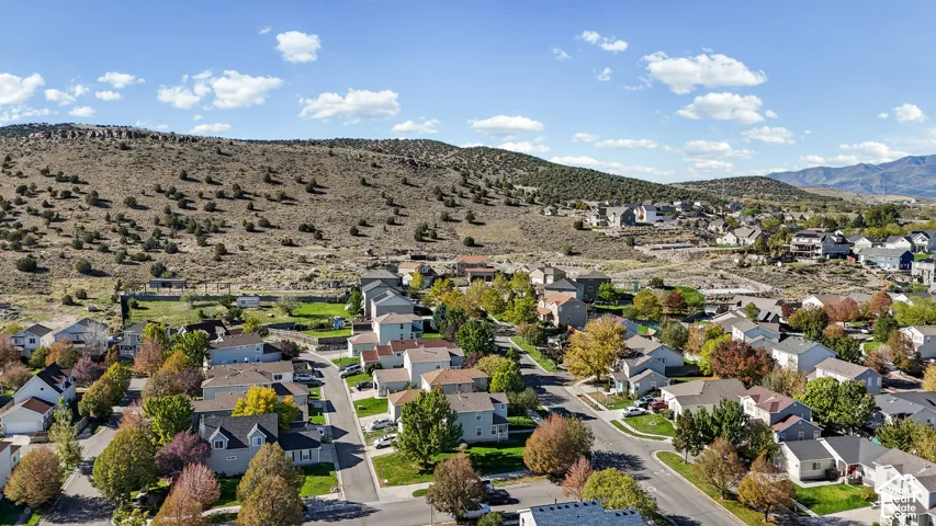 Aerial perspective of residential neighborhood featuring mature deciduous trees, paved street infrastructure, and mountain terrain backdrop