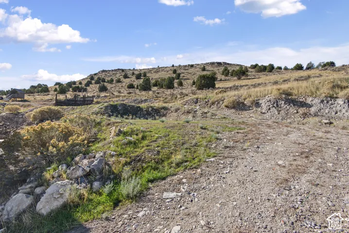 Expansive natural acreage featuring rolling terrain, native shrubbery, and mature trees against a mountain backdrop