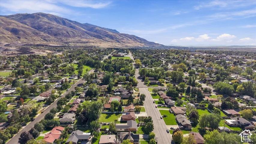 Aerial perspective of a neighborhood featuring mature tree canopy, residential streets, and a mountainous backdrop
