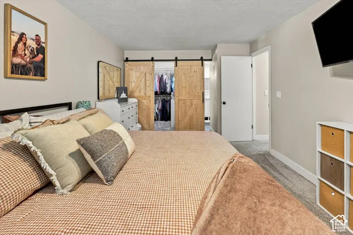 Room featuring dual sliding wood barn-style doors and neutral carpeting