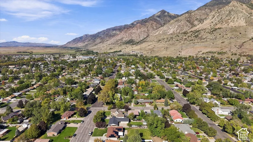 Aerial perspective of the residential area featuring a mountain backdrop, mature trees, and established street grid