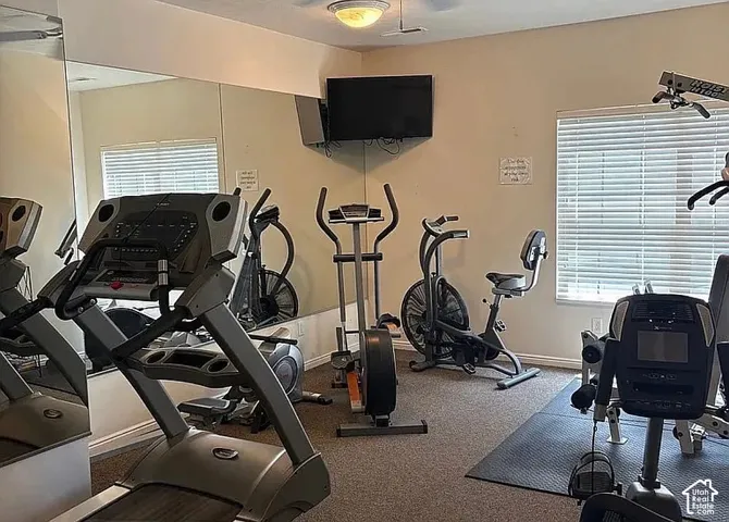 Full-wall mirror, wall-mounted television, and horizontal slat window blinds