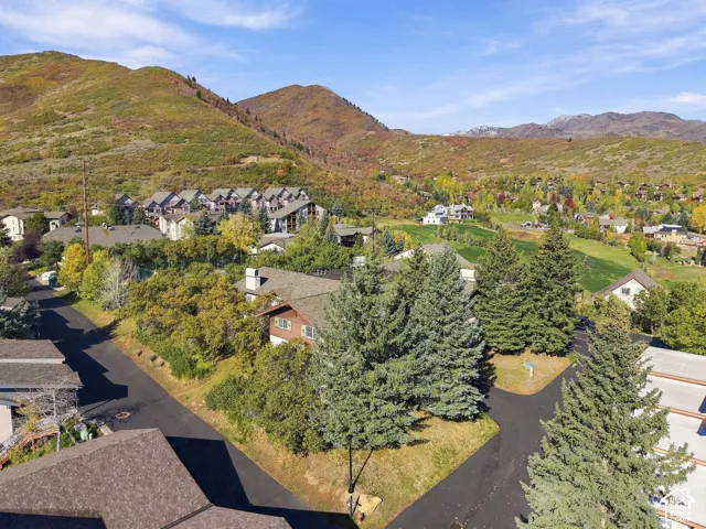 Aerial perspective featuring mountain topography, mature conifer trees, asphalt street infrastructure, and multiple residential structures with shingled roofs