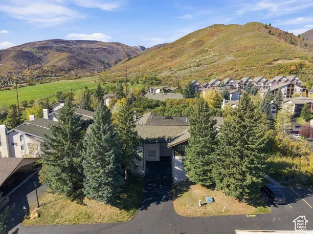 Aerial perspective featuring mature evergreen landscaping, asphalt driveway, and mountain backdrop