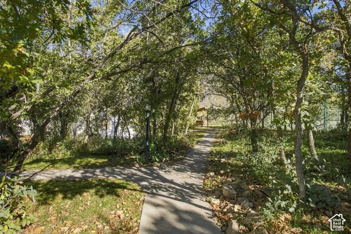 Concrete path winding through mature trees, natural landscaping, and integrated post lighting