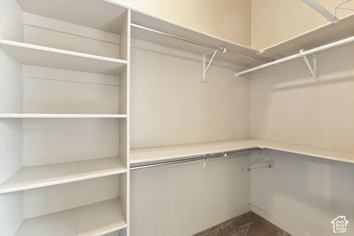 Custom closet featuring white built-in shelving, multi-level hanging rods, and neutral carpeting