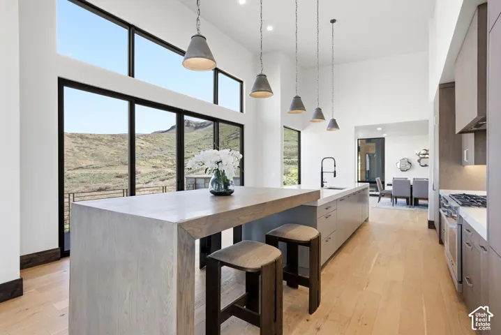 Contemporary kitchen featuring an expansive island with seating, integrated appliances, and light wood-finish flooring