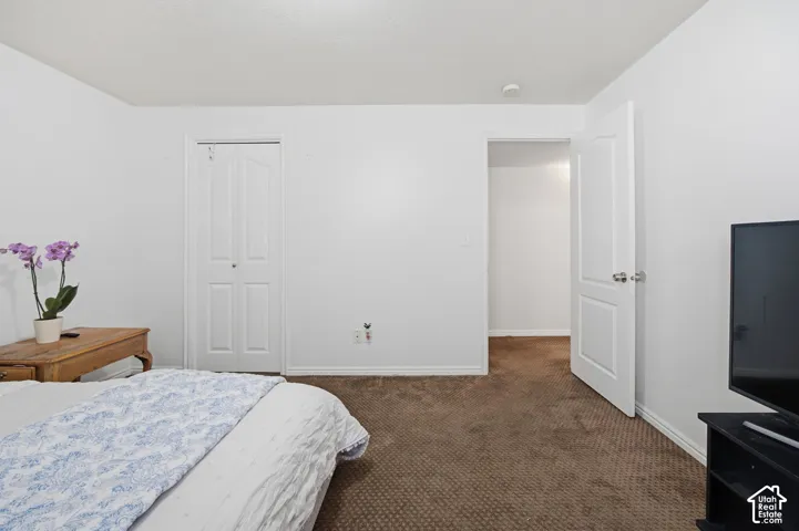 Neutral-toned interior space featuring brown carpeting, white walls, and a white two-panel closet door