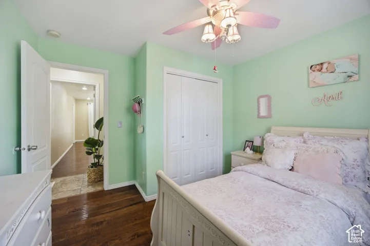 Wood-finish flooring, white paneled interior doors, and a ceiling fan with integrated multi-light fixture