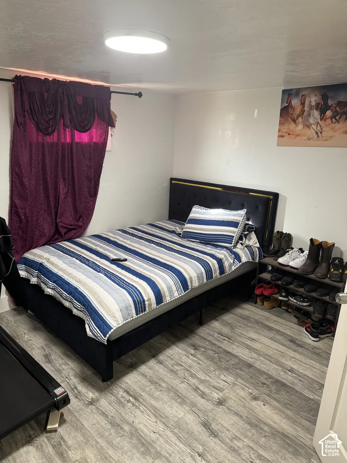 Bedroom 2 in basement . Wood-finish flooring and a flush-mount ceiling light fixture