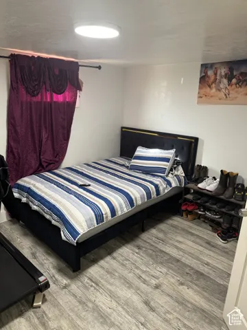 Bedroom 2 in basement . Wood-finish flooring and a flush-mount ceiling light fixture