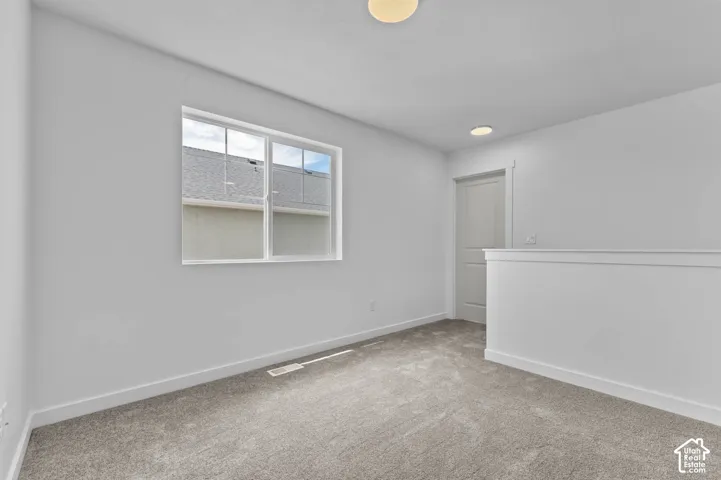 Neutral-toned carpeted flooring, two flush-mount ceiling light fixtures, single-panel interior door, and a sliding window with white trim
