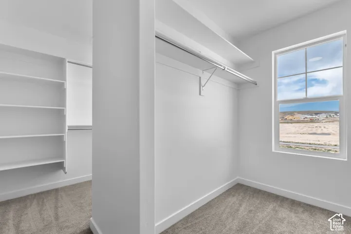 Walk-in closet featuring built-in shelving, a metal garment rod, carpeted flooring, and a single-pane window