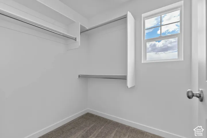 Storage space featuring white built-in shelving, dual metal hanging rods, neutral carpeting, and a single-hung window