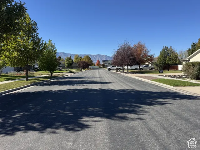 Asphalt-paved street lined with mature deciduous trees and featuring a mountain backdrop