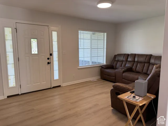 Entry featuring a solid panel door with a central glass insert, dual vertical sidelights, wood-finish flooring, and a flush-mount ceiling light fixture