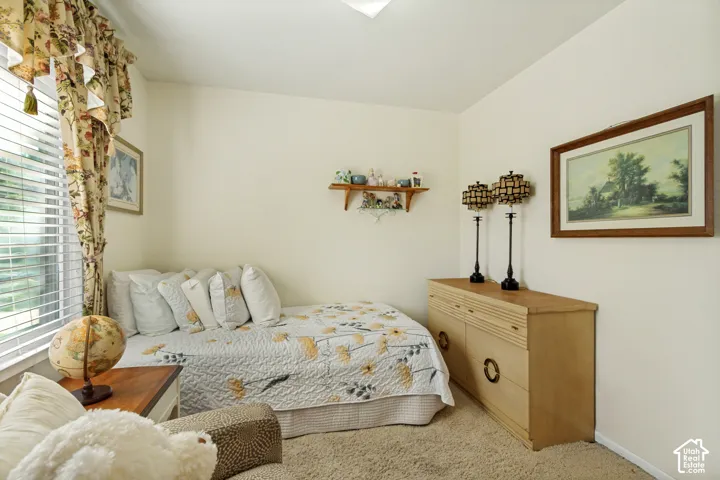 Wall-mounted wooden shelving, neutral carpeting, and horizontal slat window blinds