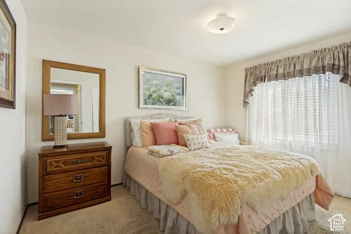Neutral wall tones, carpeted flooring, and a flush-mount ceiling light fixture