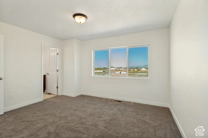 Neutral-toned carpeting, high-profile multi-pane window, flush-mount ceiling light fixture, and solid-core interior door
