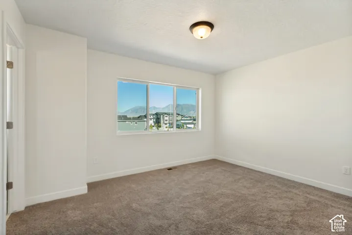 Neutral wall tones, wall-to-wall carpeting, wide sliding window with mountain scenery, and flush-mount ceiling lighting