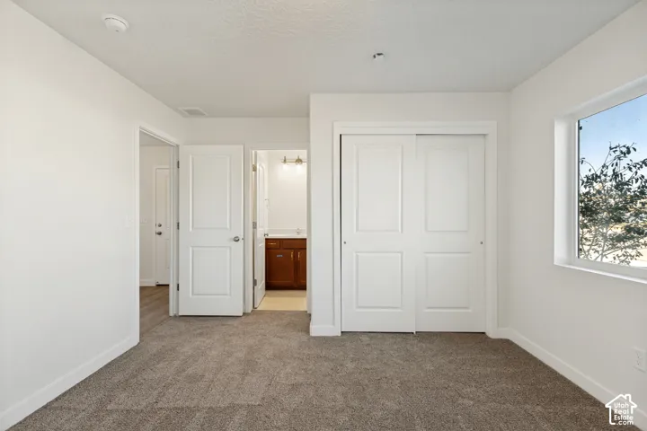 Neutral-toned carpeting, sliding closet doors with paneled detailing, white-painted interior doors, and a window providing natural light