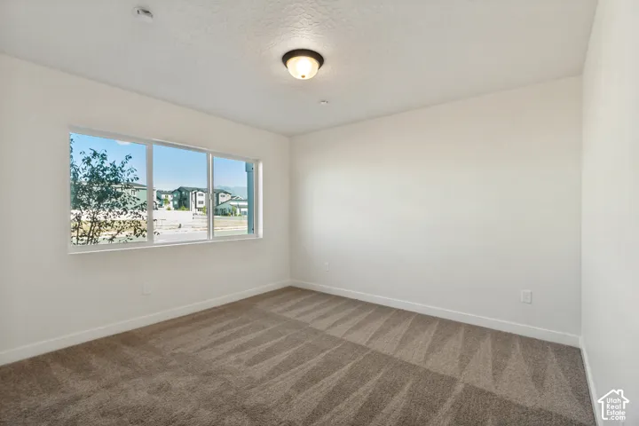 Neutral-toned carpeting, flush-mount lighting, and expansive window with natural lighting