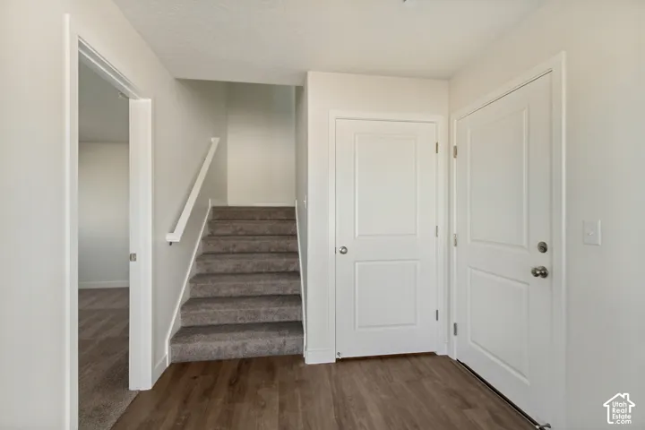 Entryway featuring wood-finish flooring, a carpeted staircase with a white handrail, and two-panel interior doors