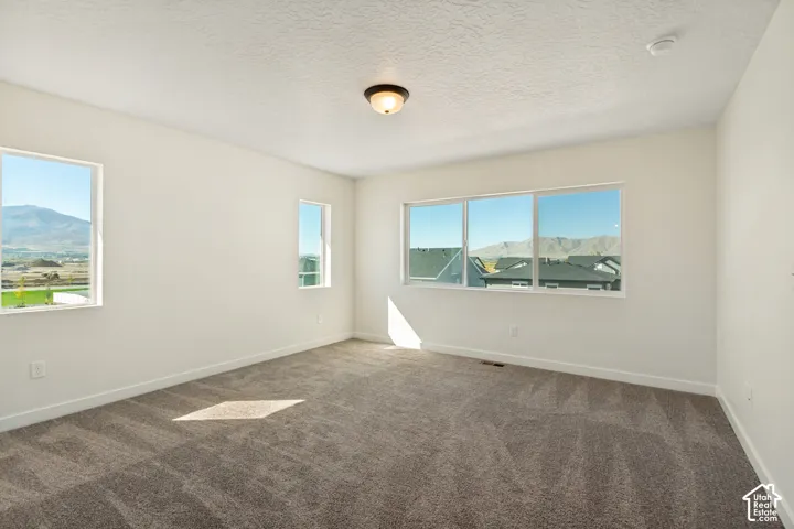 Neutral-toned interior space featuring textured wall-to-wall carpeting, multiple windows, and a flush-mount ceiling light fixture