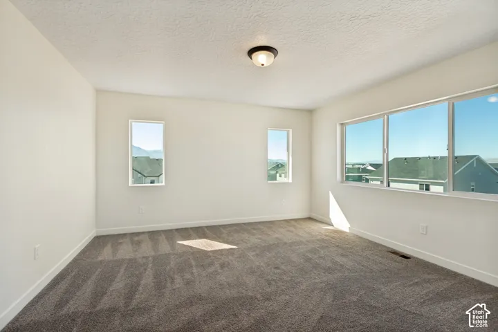 Neutral wall tones, wall-to-wall carpeting, dual vertical windows, and a wide-format window configuration