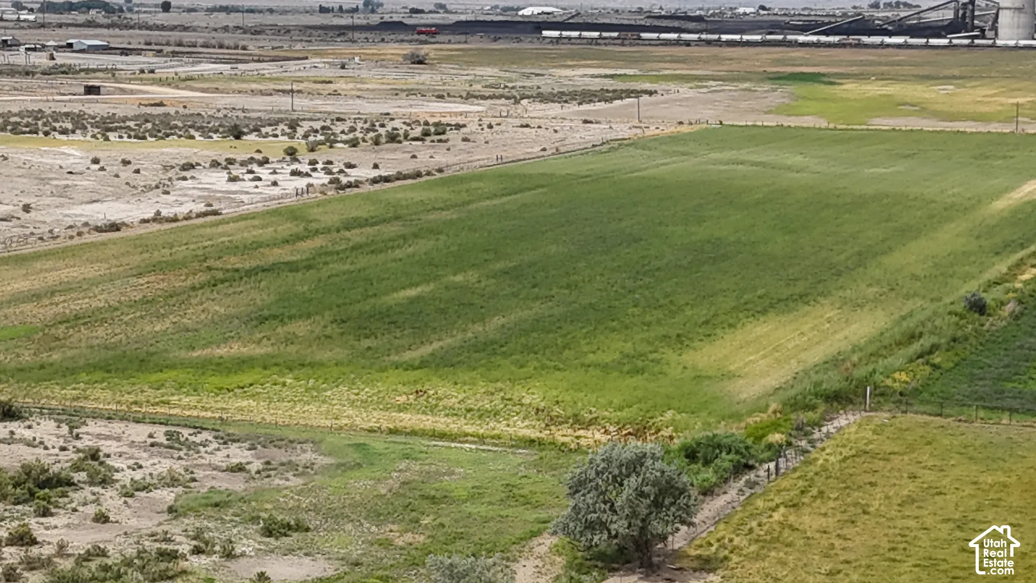 Expansive open land parcel featuring large areas of vegetation, level terrain, and mature trees