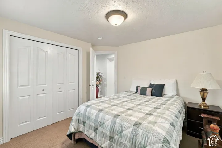 Room featuring neutral-toned carpeting, a built-in closet with white paneled bifold doors, and a central ceiling-mounted flush-mount light fixture